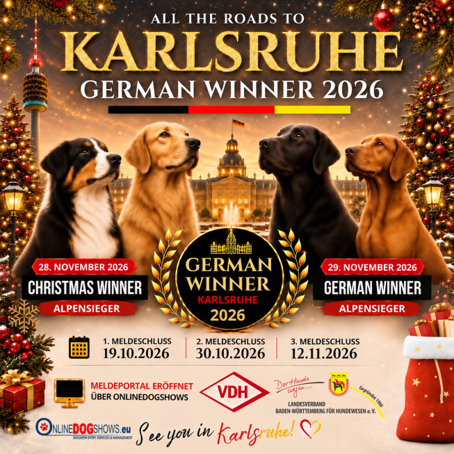Karlsruhe German Winner 2026